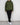 Distressed Green Perth Hoodie