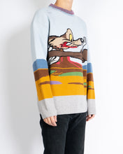 Load image into Gallery viewer, FW18 Coyote Distressed Looney Tunes Knit