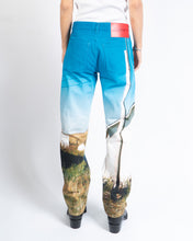 Load image into Gallery viewer, Schoolhouse Printed Denim